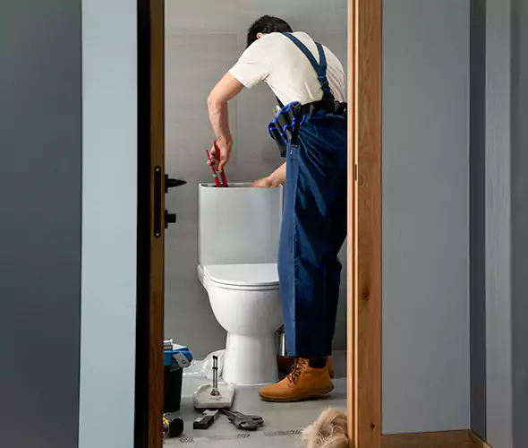 Professional Plumbers for Toilet Bowl Replacement in Revere, MA: Schedule Affordable Toilet Replacement Services With Us