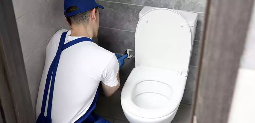 Toilet Lid Replacement in Revere