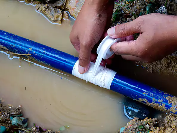  Why Choose Revere Plumbing Pros for Leak Detection in Revere, MA?]